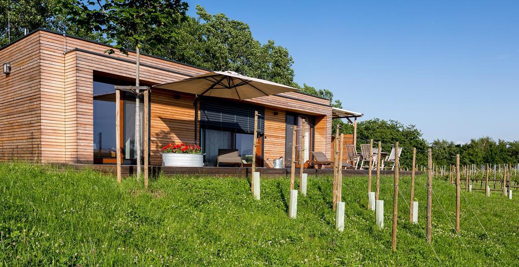 Weingarten-Resort Unterlamm Loipersdorf - Adults Only Exterior foto
